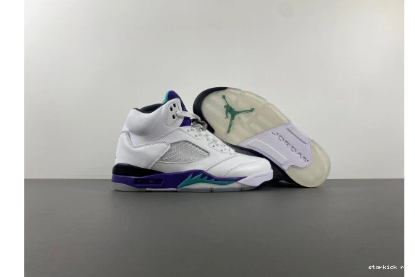 136027-108 5 Jordan Retro 136027-108 Grape 0417